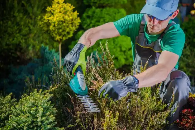 landscaping services Dalton